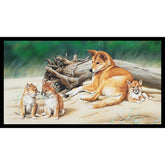 Wildlife Art 4 Australian Dingos 24" DV3704